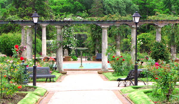 parque prado jardín botánico
